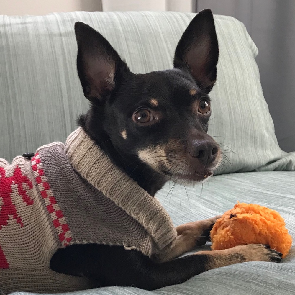 Meet your Posher, Ciara